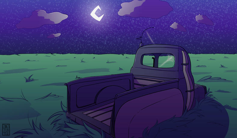 Field Night